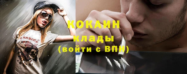 2c-b Пестово