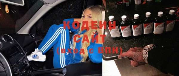 2c-b Пестово