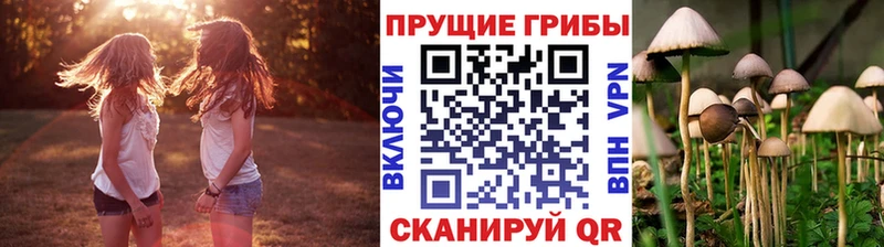 Псилоцибиновые грибы GOLDEN TEACHER  Шарыпово 