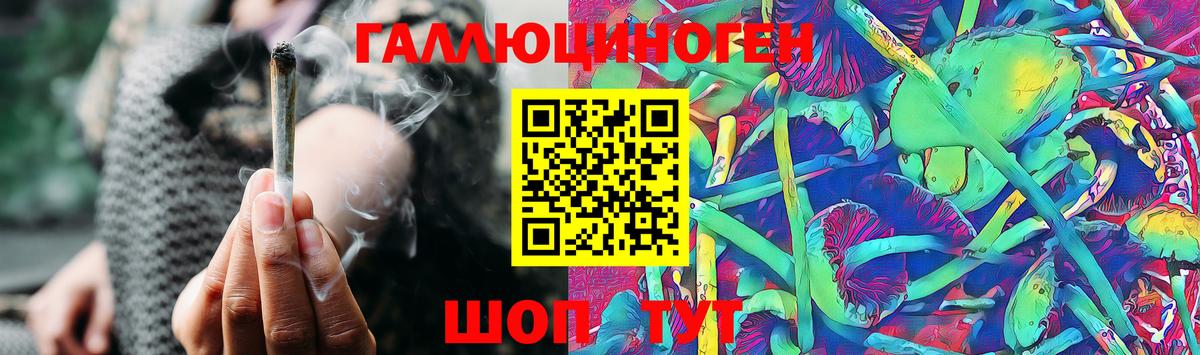 Псилоцибиновые грибы Psilocybine cubensis Шарыпово
